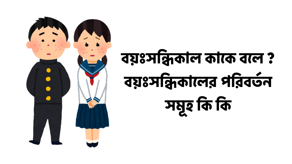 বয়ঃসন্ধিকাল কাকে বলে ? বয়ঃসন্ধিকালের পরিবর্তন সমূহ কি কি বয়ঃসন্ধিকাল কাকে বলে