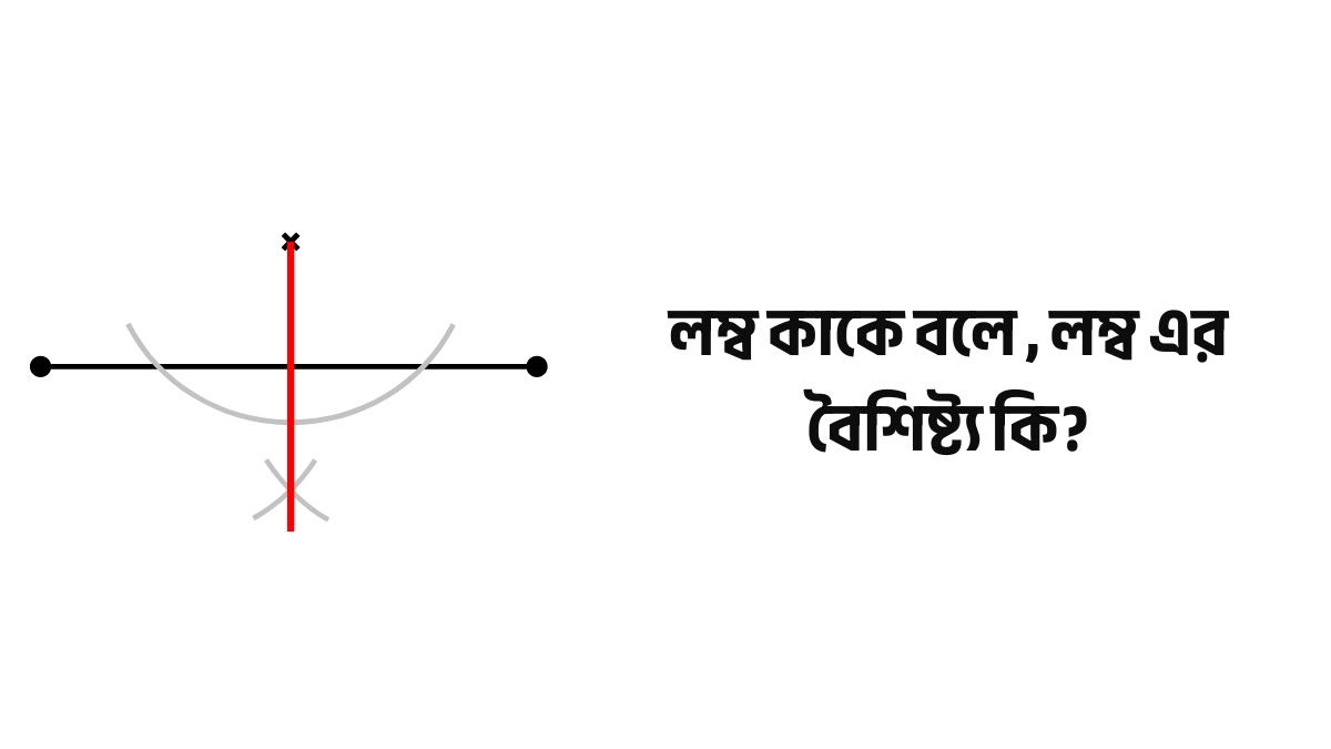 লম্ব কাকে বলে ? লম্ব এর বৈশিষ্ট্য কি? | লম্ব রেখা কাকে বলে লম্ব কাকে বলে