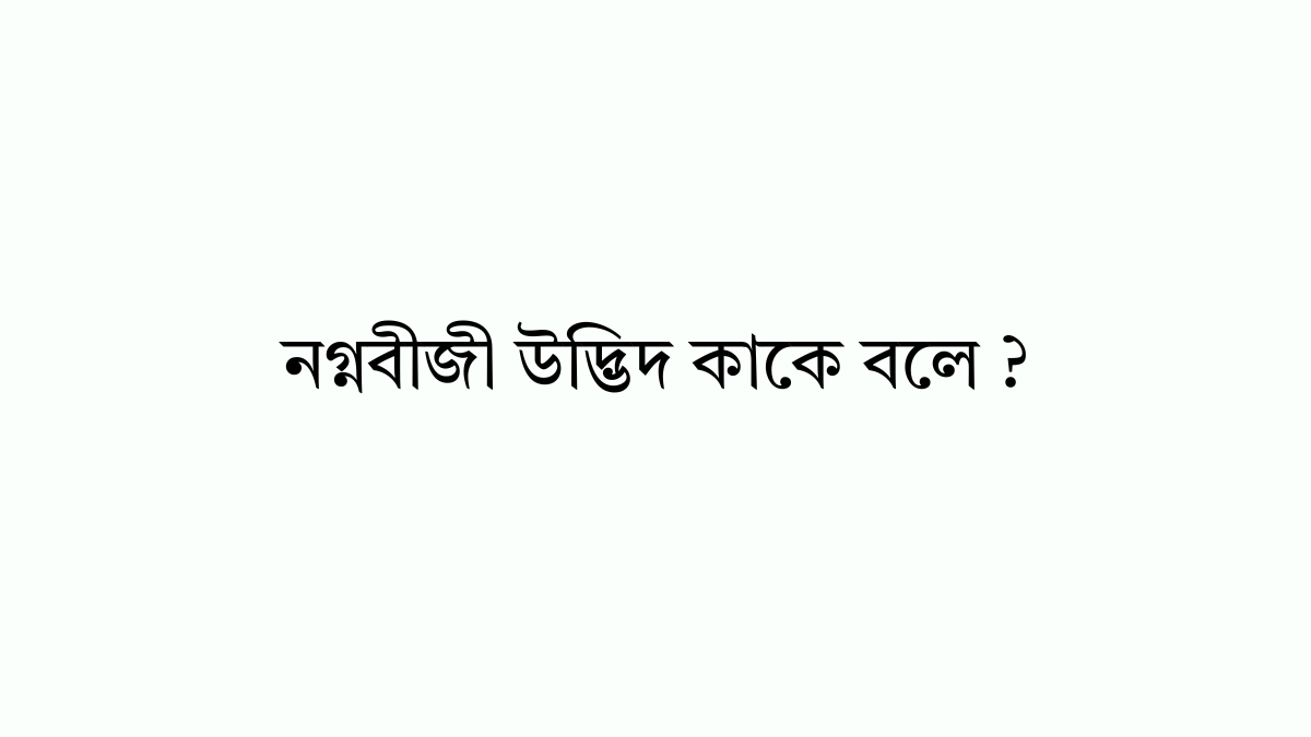 নগ্নবীজী উদ্ভিদ কাকে বলে নগ্নবীজী উদ্ভিদ কাকে বলে ?