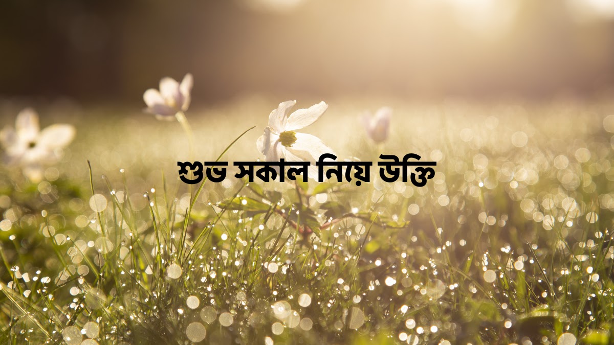 শুভ সকাল নিয়ে উক্তি | শুভ সকাল স্ট্যাটাস | শুভ সকাল 2026 শুভ সকাল নিয়ে উক্তি